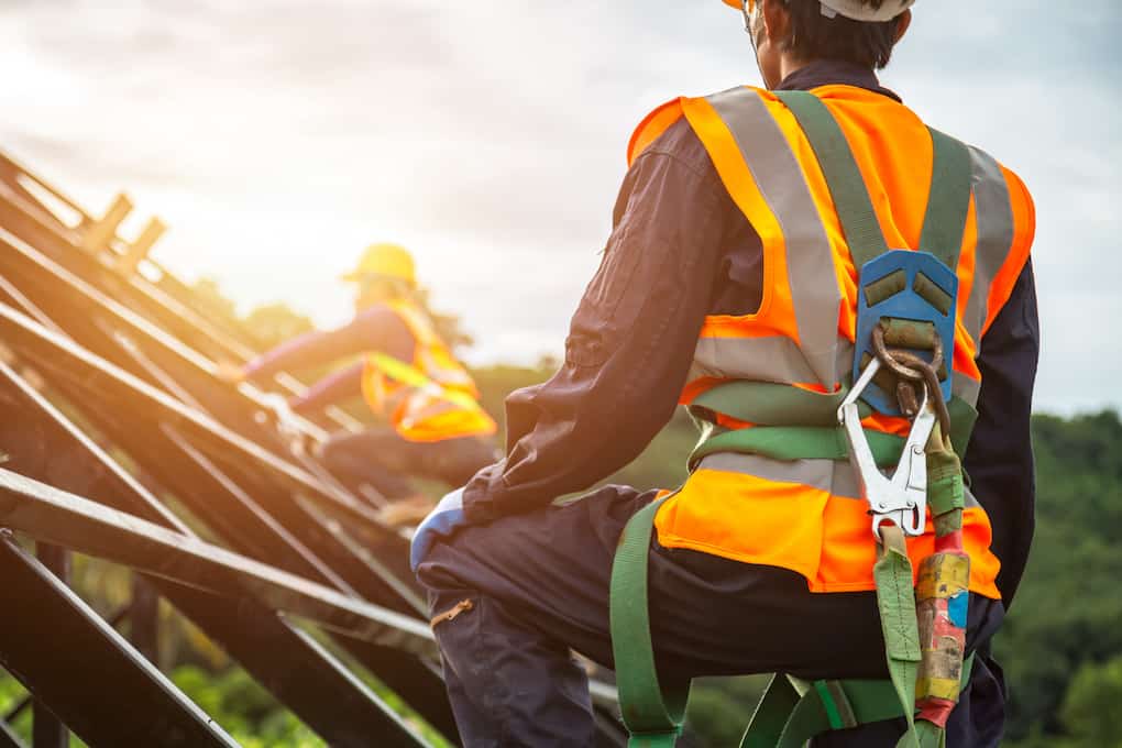 safety harness